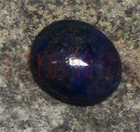 No Image Found
